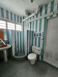 Mandalay Mansion (D11), Apartment #557380881